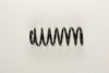 AUDI 443511115E Coil Spring